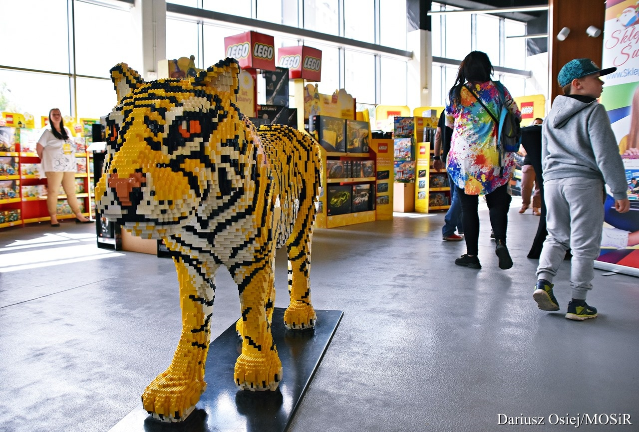 Galeria: Mazowiecki Festiwal Klocków LEGO, zdjęcie 6 z 11