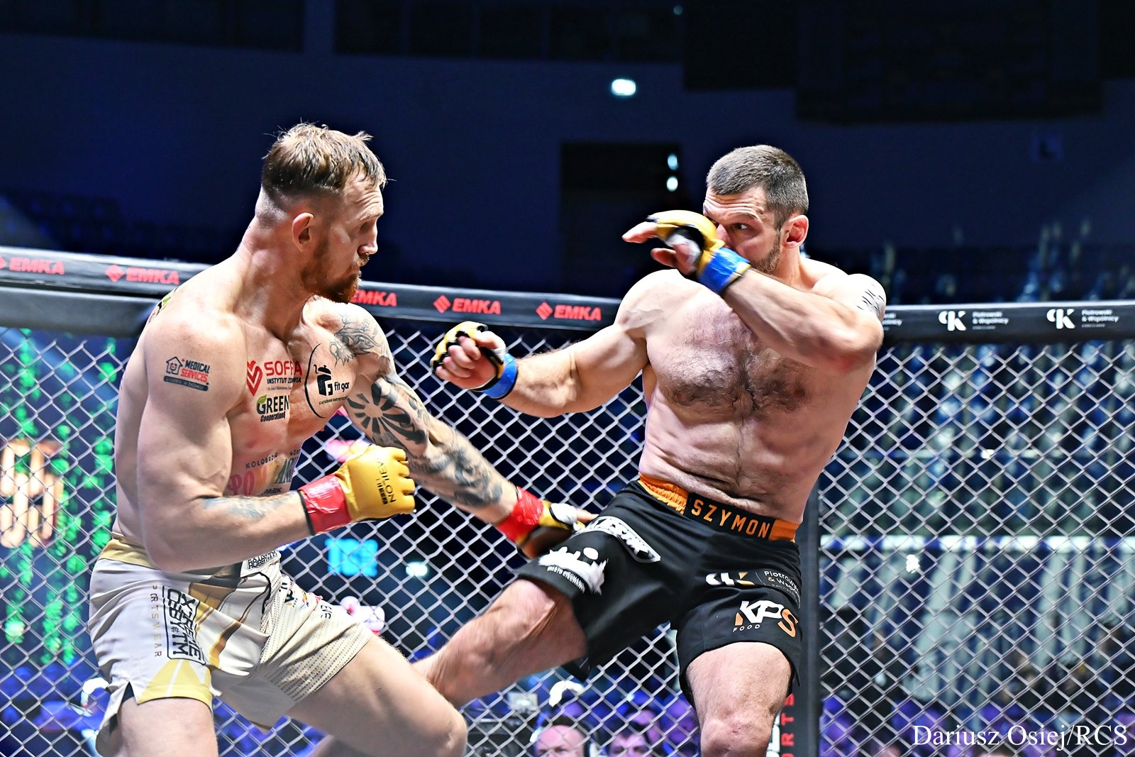 Galeria: KPS & Elmas Babilon MMA 55, zdjęcie 19 z 25