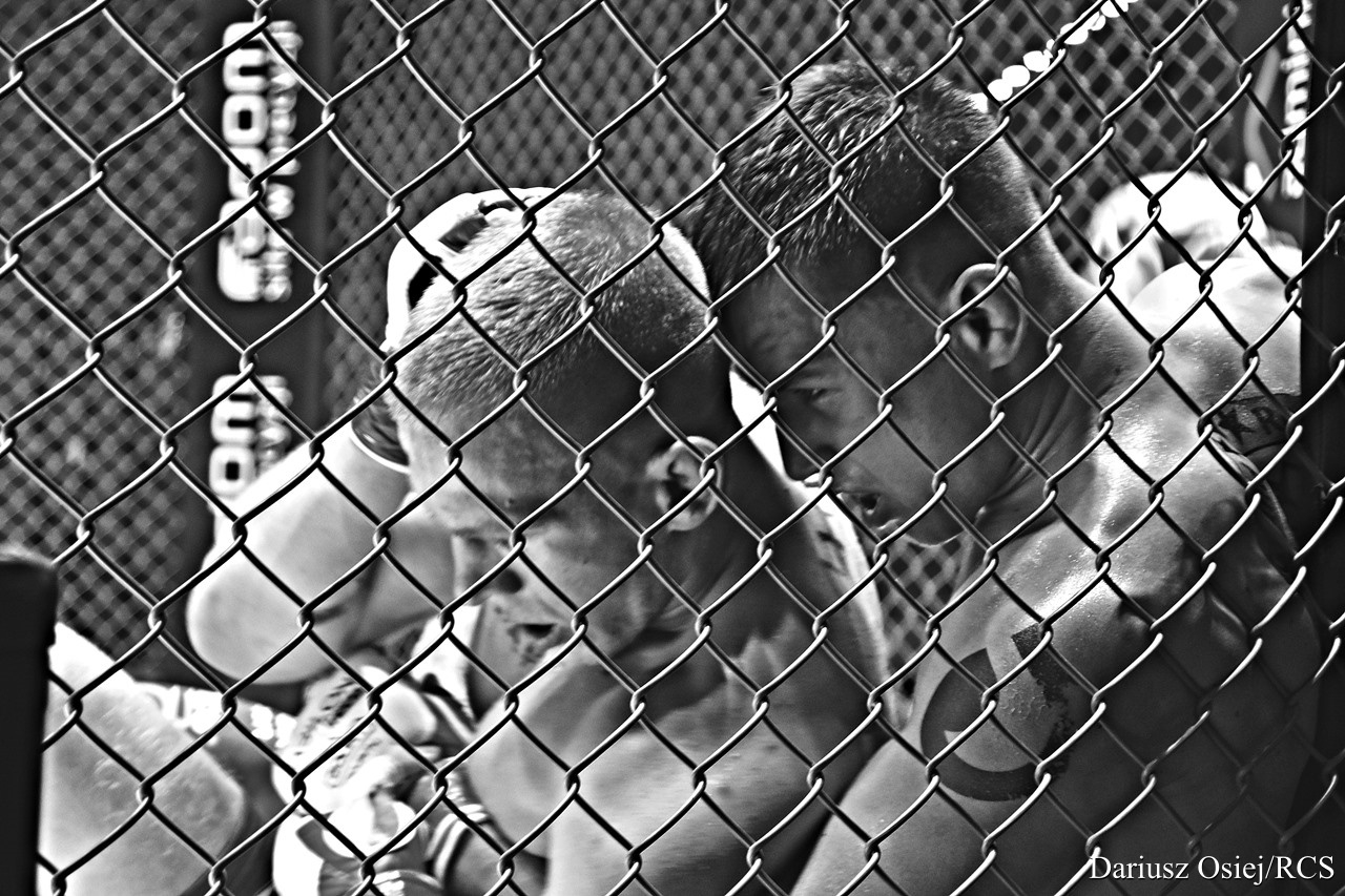 Galeria: Gala Babilon MMA 29, zdjęcie 8 z 11