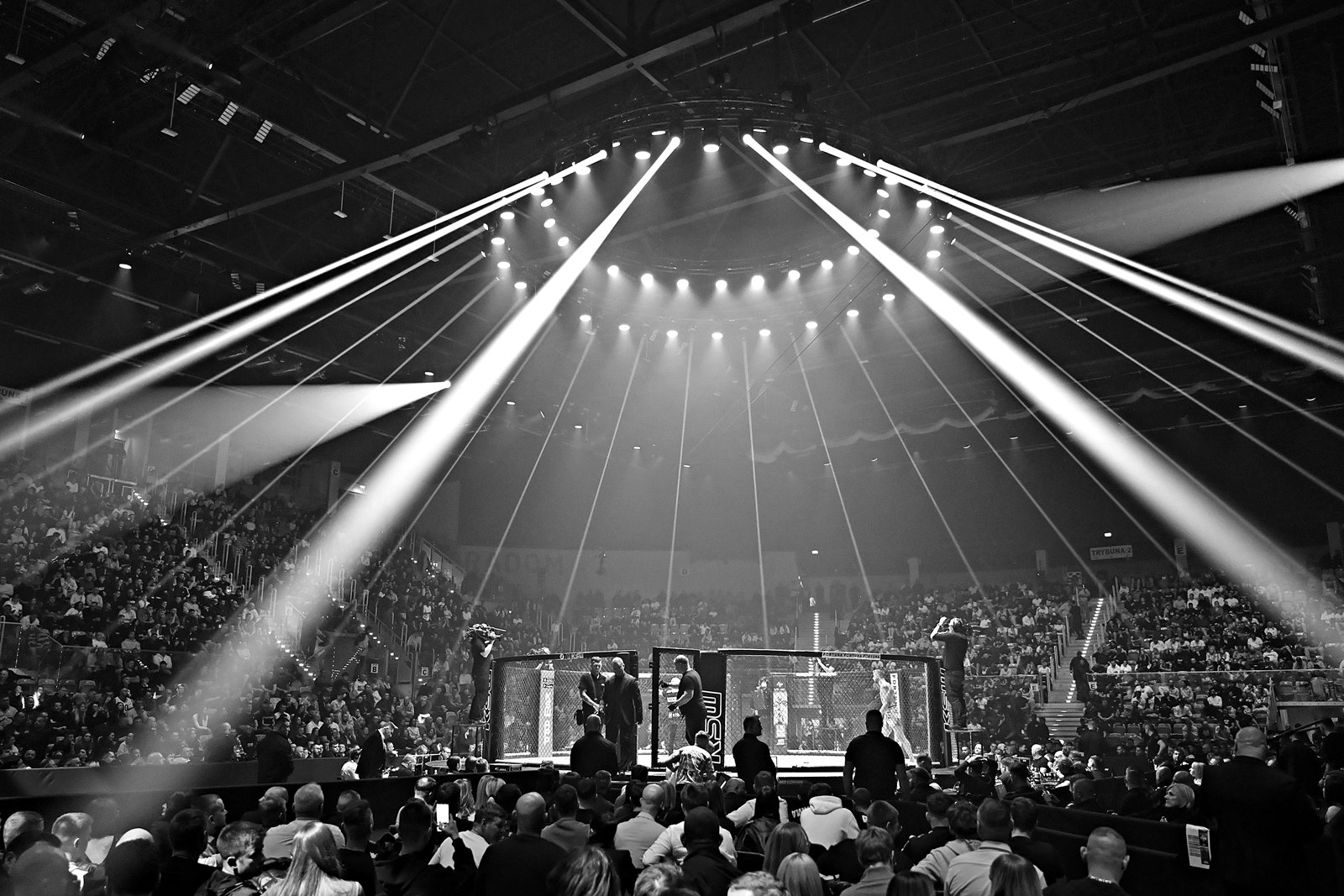 Galeria: XTB KSW 114, zdjęcie 8 z 14