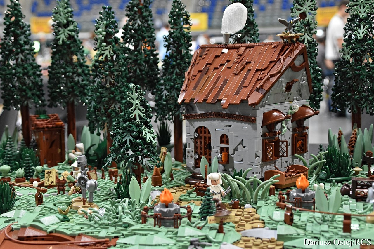 Galeria: II Mazowiecki Festiwal Klocków LEGO, zdjęcie 8 z 19