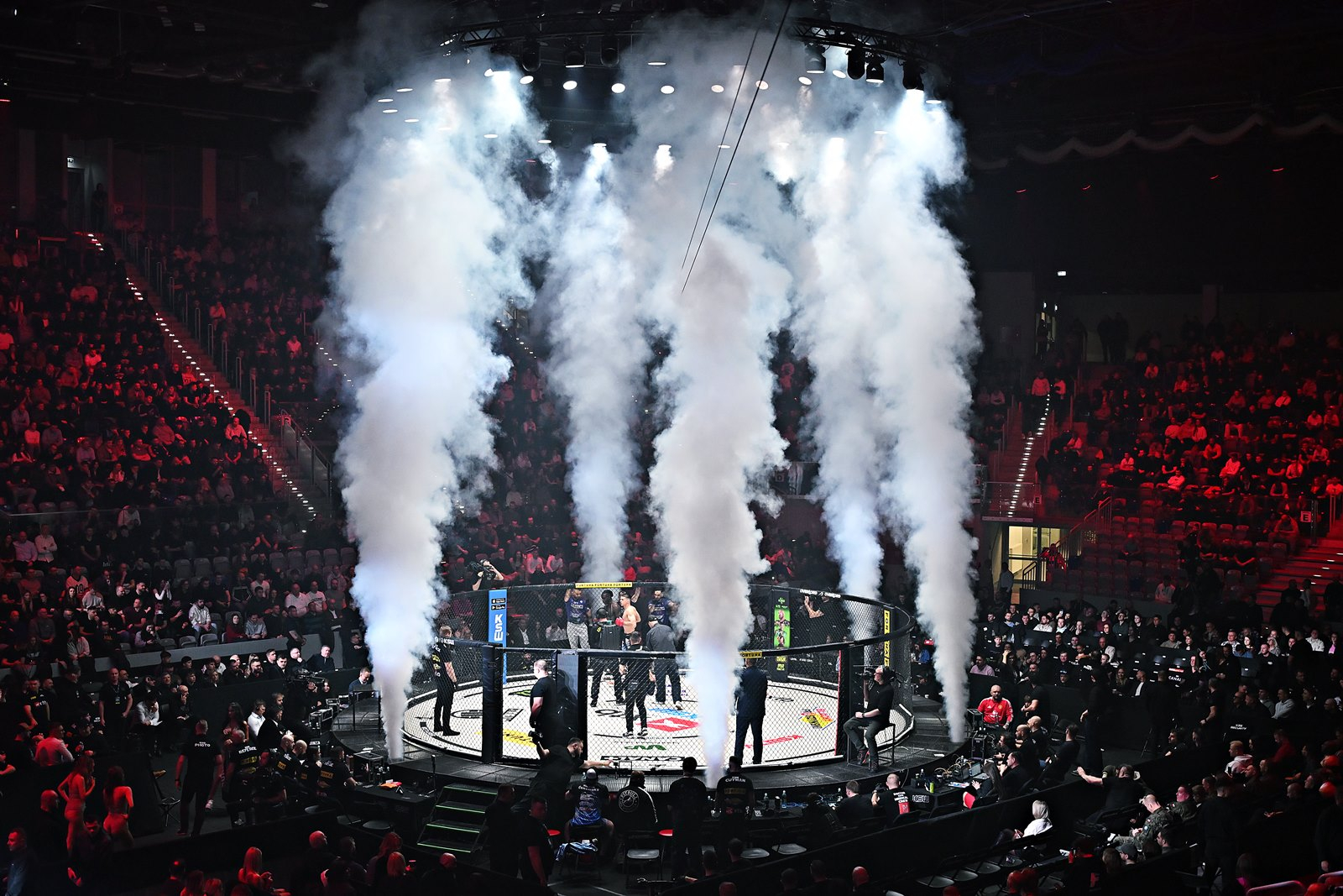 Galeria: XTB KSW 114, zdjęcie 7 z 14