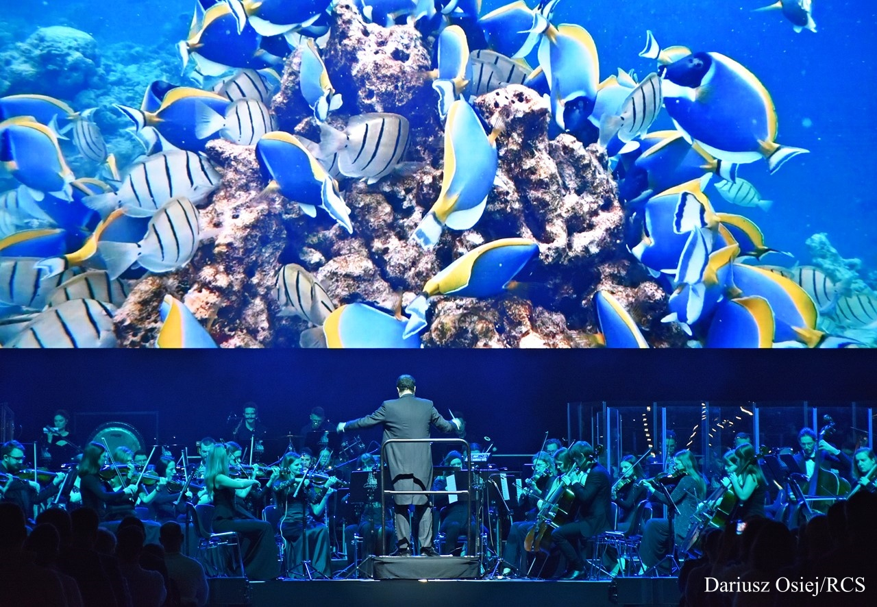 Galeria: Visual Concert 2024-Koncert Muzyki Filmowej i Epickiej, zdjęcie 10 z 18