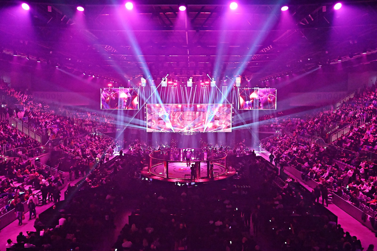 Galeria: XTB KSW 114, zdjęcie 9 z 14