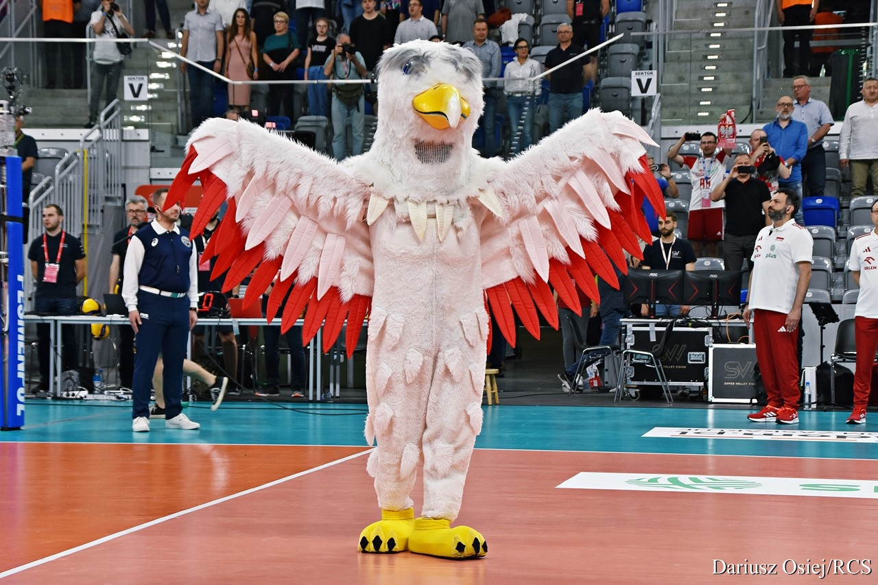 Galeria: Mecz towarzyski Polska-Francja, zdjęcie 2 z 22