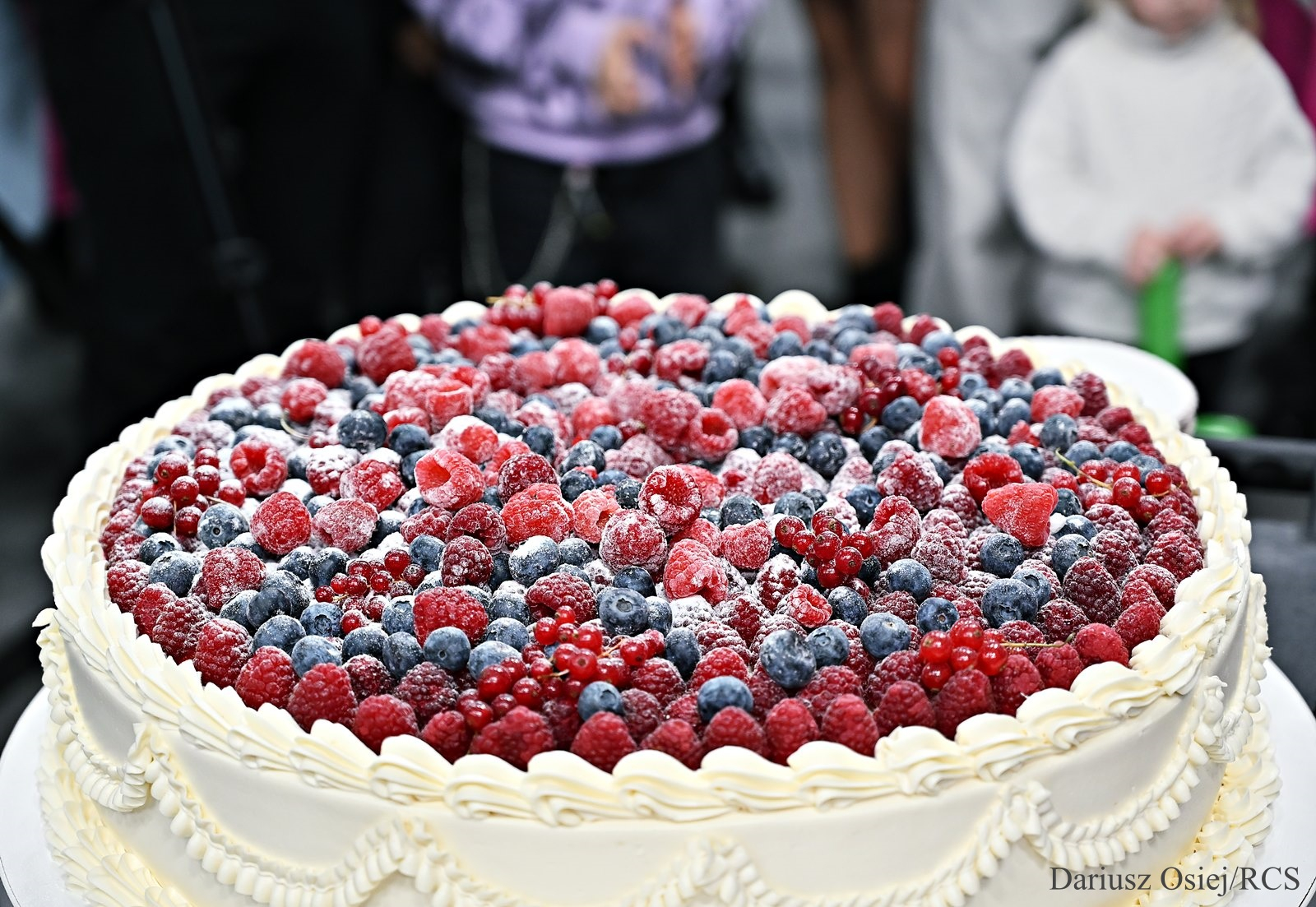 Galeria: Radomskie Targi Ślubne'25, zdjęcie 14 z 27